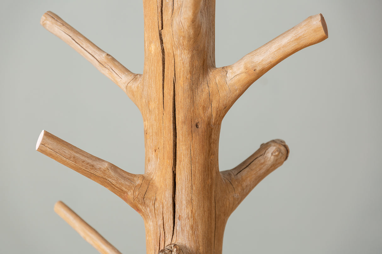 Coatrack TREE 170cm mangosteen wood