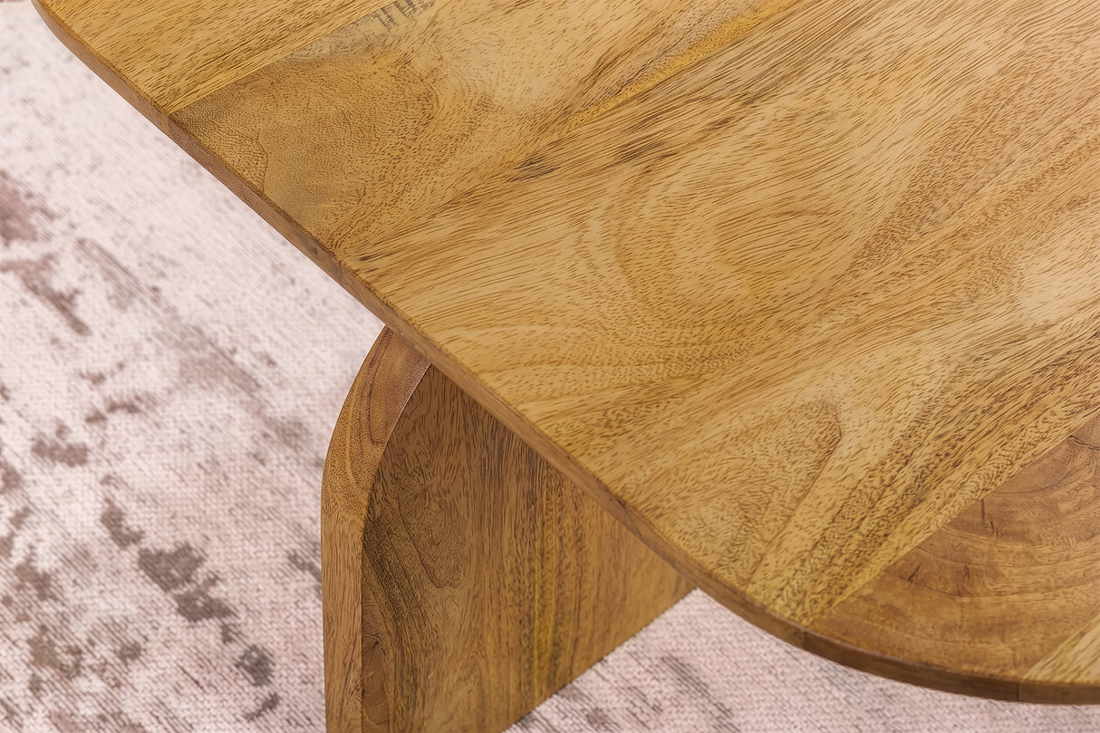 Couchtisch GATSBY 100cm/45cm 2er Set Mangoholz braun