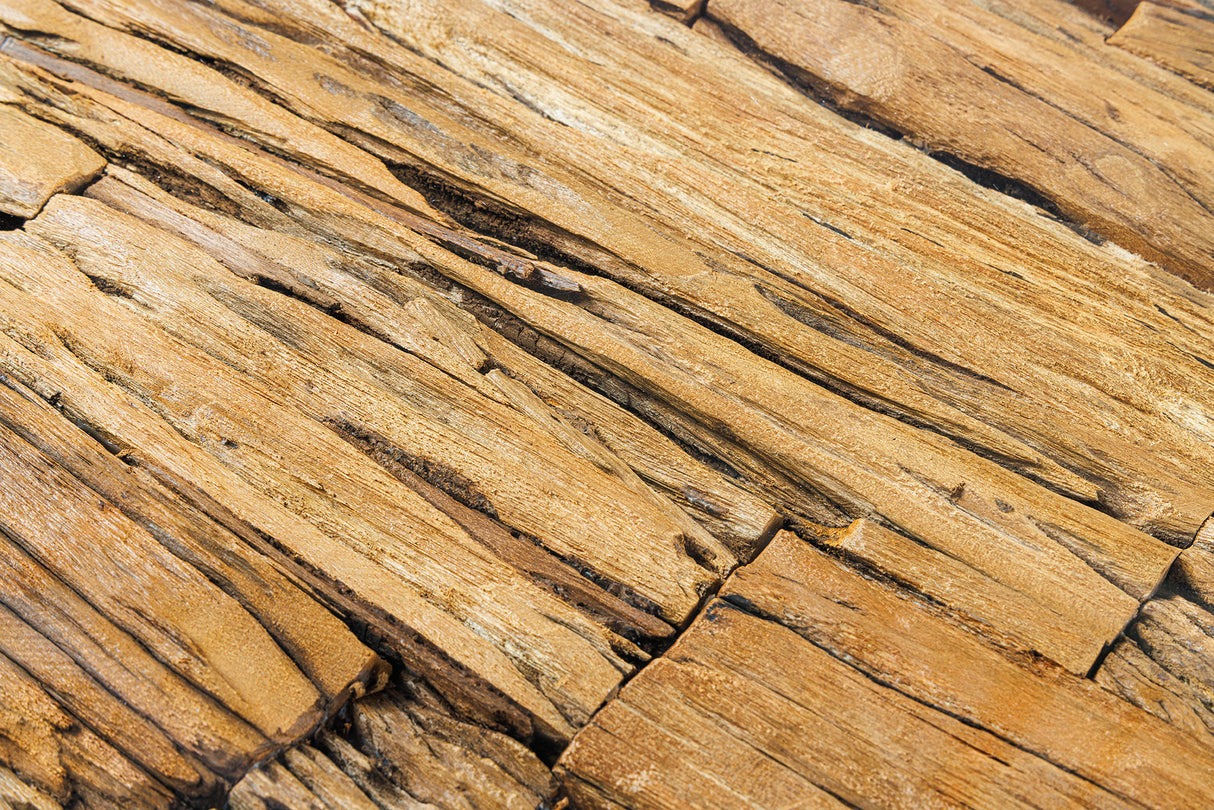 Esstisch BARRACUDA 220cm oval Teakholz Glasplatte oval