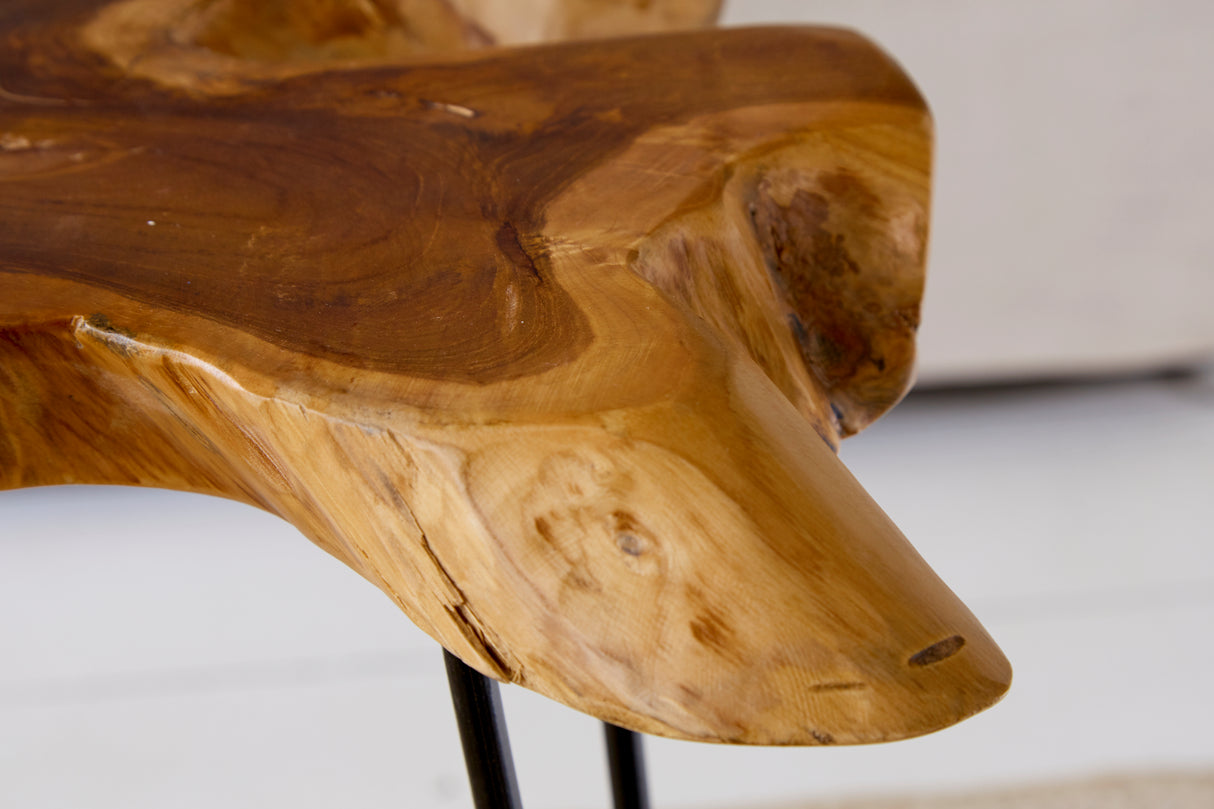 Couchtisch WILD 60cm massives Teakholz