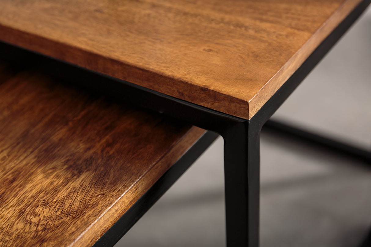 Coffee table ELEMENTS 40+100cm set of 2 sheesham wood