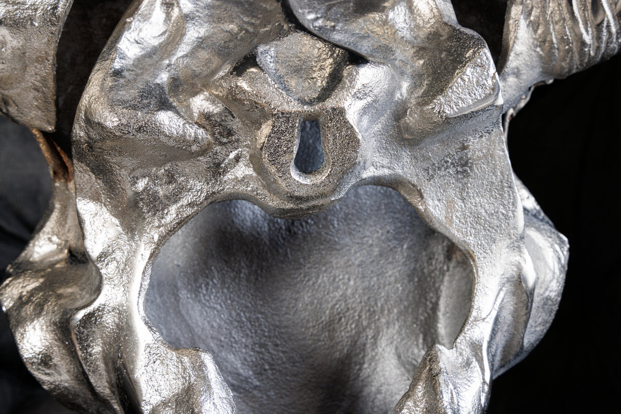 Wall Decoration skull MATADOR silver