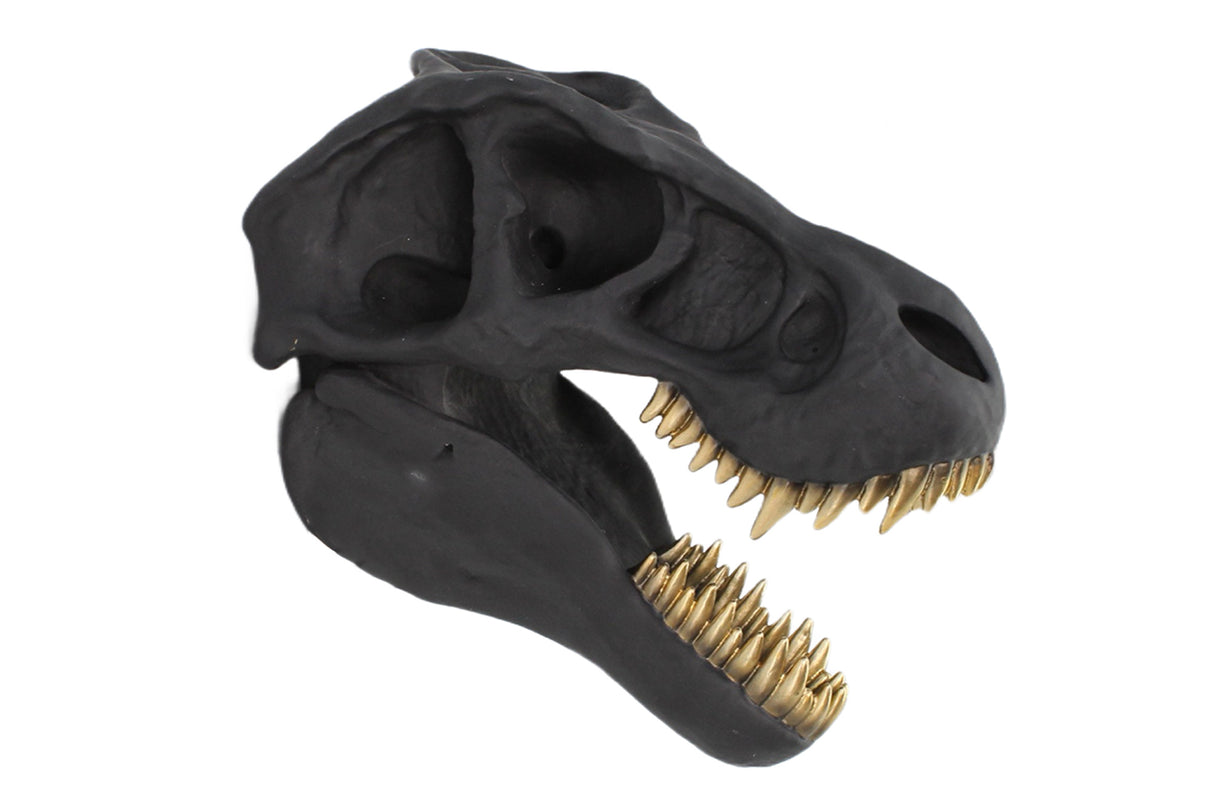 Wall decoration skulpture T-REX 40cm black