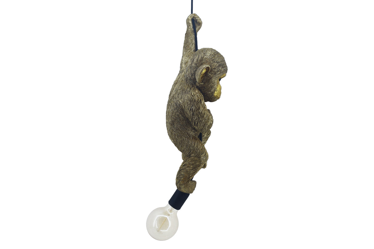 Pendelleuchte AFFE 55 cm, handgefertigte Affenskulptur, Gold