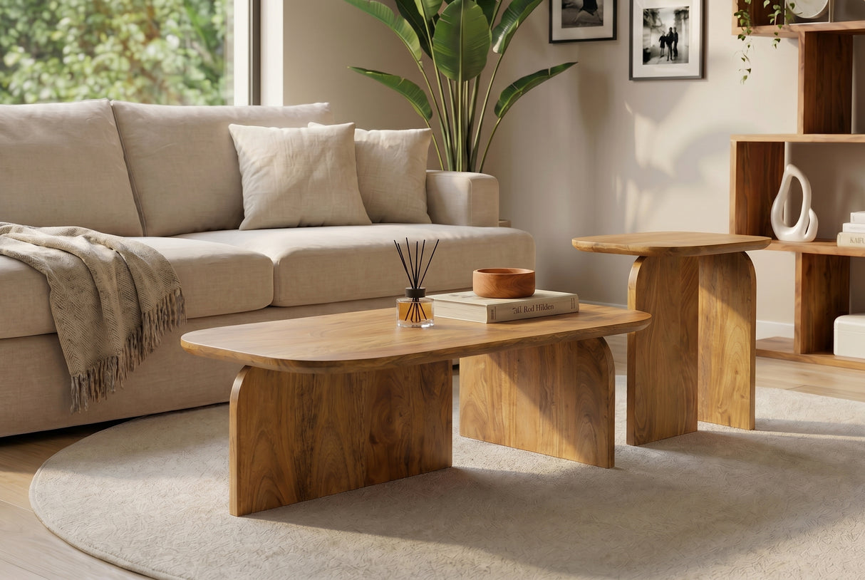Couchtisch GATSBY 100cm/45cm 2er Set Mangoholz braun