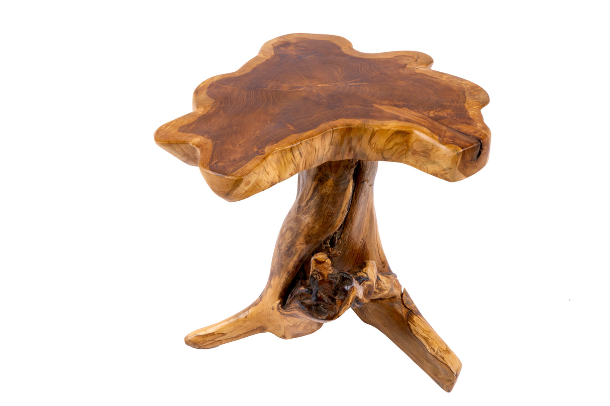 Beistelltisch ROOT 40cm massives Teakholz