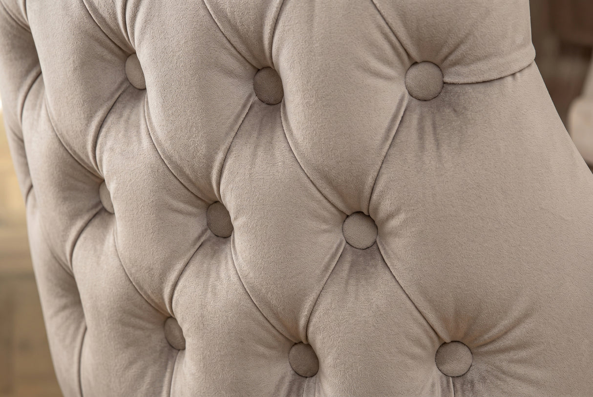 Chair CASTLE DELUXE w/ lion´s head handle velvet cappucchino legs black in chesterfield style