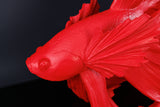 Decoration fish CROWNTAIL 65cm polyresin red