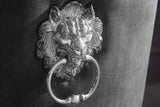 Chair MODERN BAROCK DELUXE w/ silver legs and lion´s head velvet grey