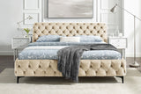 Bed MODERN BAROCK 180x200cm velvet champagne in chesterfield style