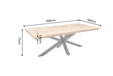 Esstisch GALAXIE 200cm Mangoholz natur