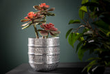Pflanzkübel ORIENT 15-24cm mit Hammerschlageffekt silber