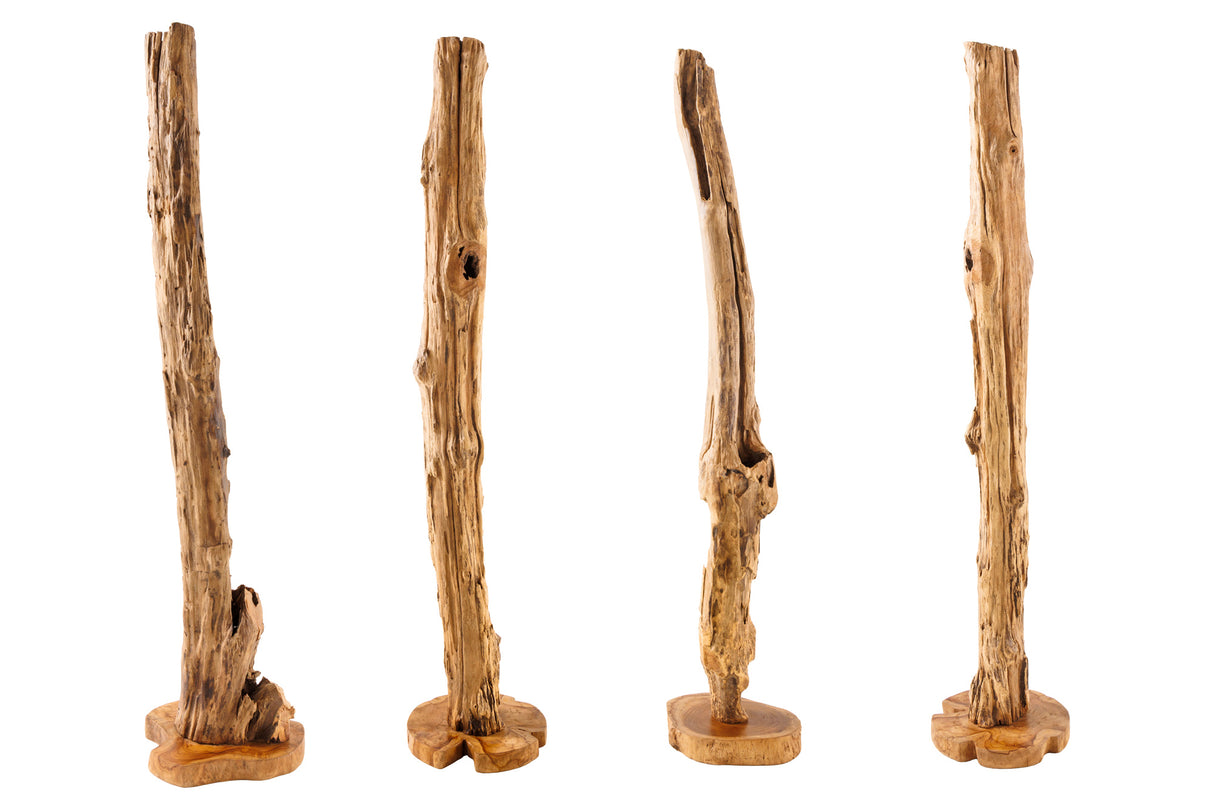 Sculpture REEF 100-125cm driftwood