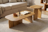 Couchtisch GATSBY 100cm/45cm 2er Set Mangoholz braun
