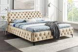 Bed MODERN BAROCK 180x200cm velvet champagne in chesterfield style