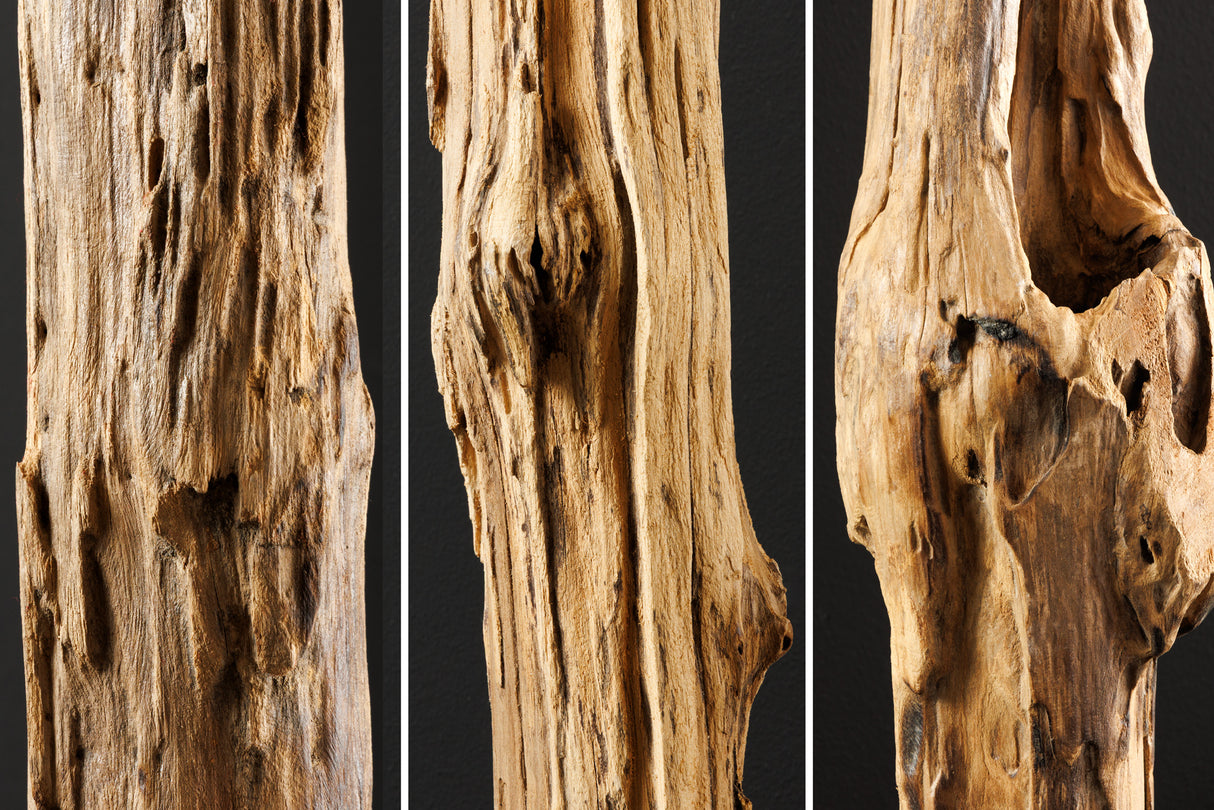 Sculpture REEF 100-125cm driftwood