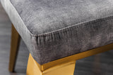 Chair MODERN BAROCK with lion´s head velvet grey golden legs in baroque style