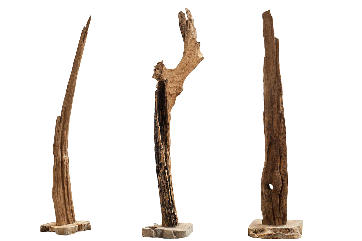 B-Sculpture REEF 100-125cm