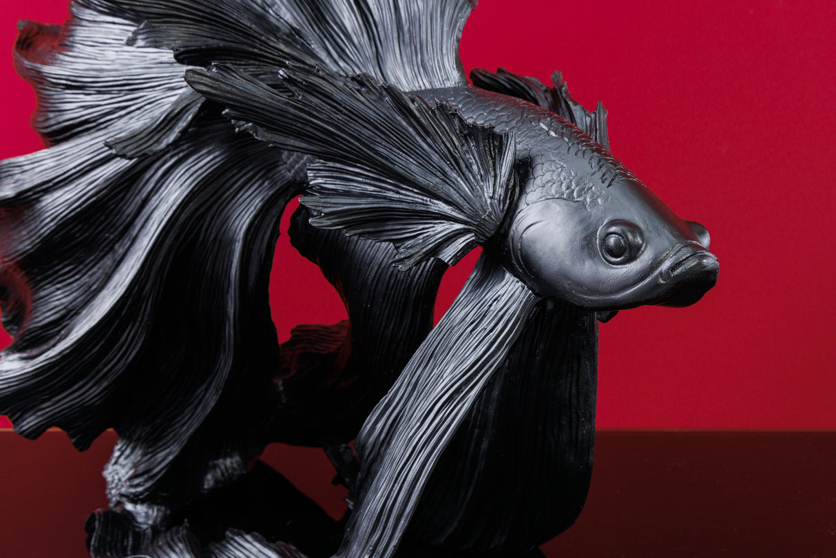 Decoration fish CROWNTAIL 65cm polyresin black