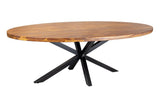 Esstisch GALAXIE 240cm oval Sheeshamholz braun Stein-Finish mit schwarzem Sterngestell