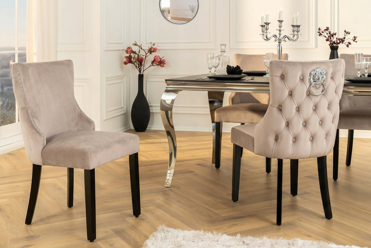 Chair CASTLE DELUXE w/ lion´s head handle velvet cappucchino legs black in chesterfield style