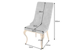 Chair MODERN BAROCK with lion´s head velvet grey golden legs in baroque style