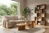 Couchtisch GATSBY 100cm/45cm 2er Set Mangoholz braun