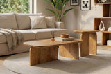 Couchtisch GATSBY 100cm/45cm 2er Set Mangoholz braun